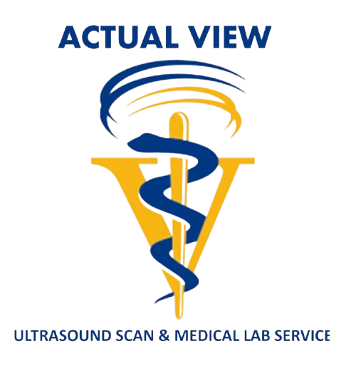 ACTUAL VIEW Logo